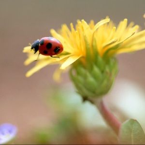 Meet your Posher, Walter